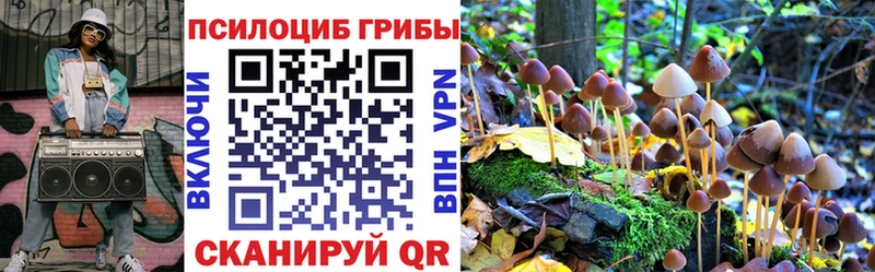 KRAKEN ONION  Уржум  Псилоцибиновые грибы мицелий  где продают  