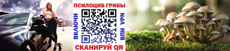 Галлюциногенные грибы прущие грибы Уржум